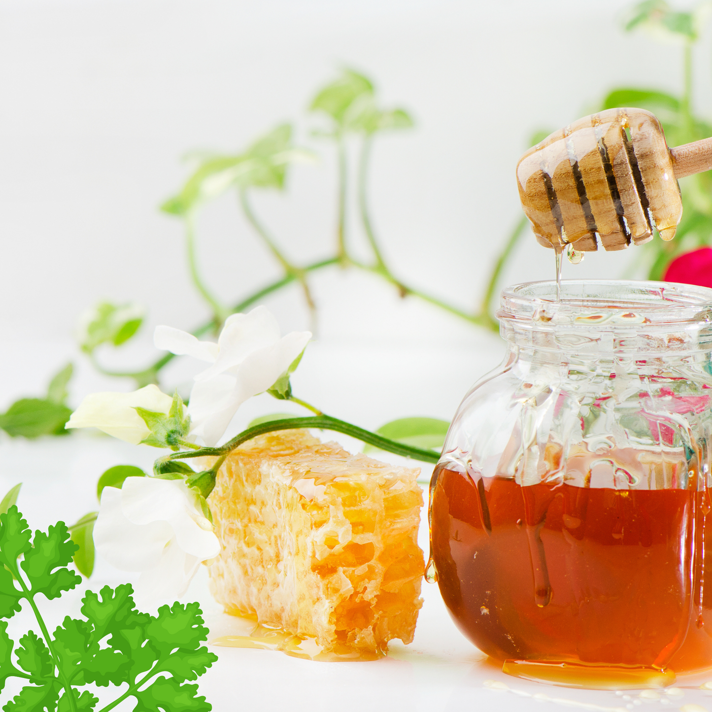 Coriander Honey